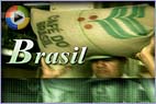 Caf&eacute; - A Hist&oacute;ria de um S&iacute;mbolo Nacional